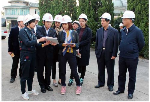 Latest company news about Pada 2 November 2016, kelompok pengawasan CHINA environmant diselidiki perusahaan kami